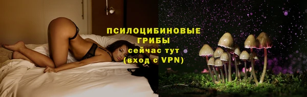 прущая мука Михайлов