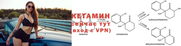 крисы Наволоки
