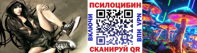 Псилоцибиновые грибы Cubensis  Пыталово 