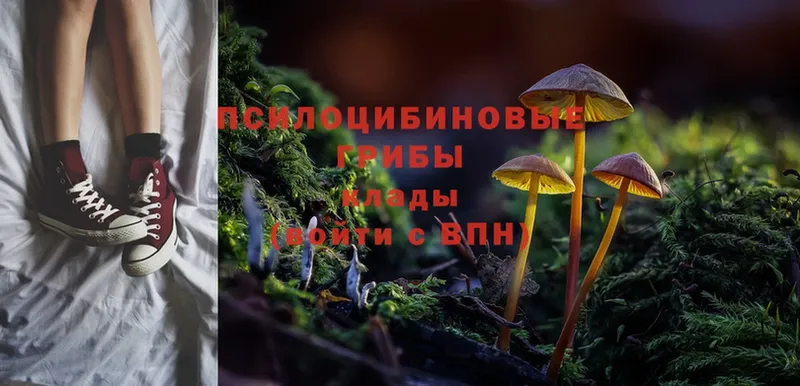 Галлюциногенные грибы Magic Shrooms  Пыталово 